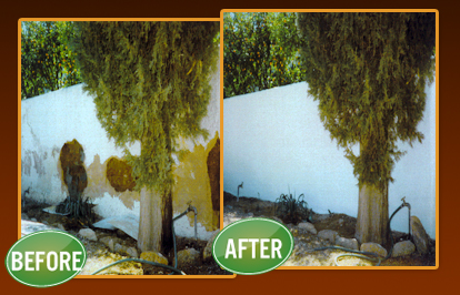 Tucson Stucco Repair